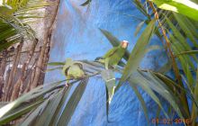 Zdjęcia z wyjazdu do Meksyku