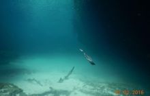 Zdjęcia z wyjazdu do Meksyku