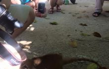 Zdjęcia z wyjazdu do Meksyku