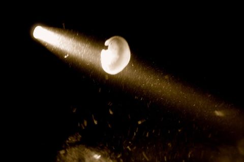 Nurkowanie obok Mola w Mechelinkach