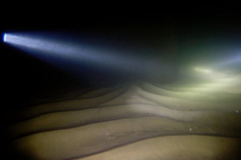 Nurkowanie obok Mola w Mechelinkach