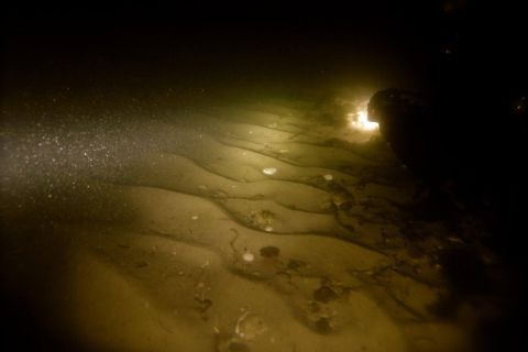 Nurkowanie obok Mola w Mechelinkach