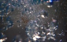 Nurkowe na Basenie MOSiR-u na Chełmie 