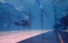 Nurkowe na Basenie MOSiR-u na Chełmie 