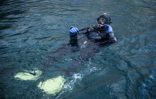 Zdjęcia z nurkowania w Kamieniołomach w Niemczech 