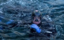 Zdjęcia z nurkowania w Kamieniołomach w Niemczech 