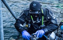 Zdjęcia z nurkowania w Kamieniołomach w Niemczech 