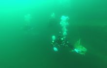 Zdjęcia z nurkowania w Kamieniołomach w Niemczech 