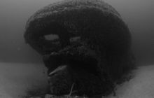 Wraki morza otwartego Tankowiec/ Holownik Strażak