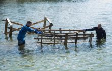 Zdjęcia z prac remontowych w Chmielnie