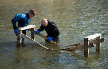 Zdjęcia z prac remontowych w Chmielnie