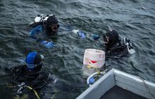 Zdjęcia z kursu Deep Diving