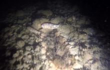 Gdynia Orłowo nocą