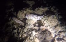 Gdynia Orłowo nocą