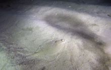 Gdynia Orłowo nocą