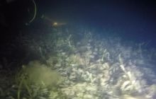 Gdynia Orłowo nocą