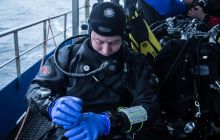 Zdjęcia z Nurkowania na Zatoce - Kanonierka, Trałowiec