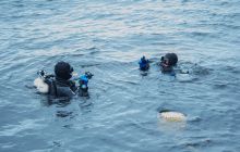 Zdjęcia z Nurkowania na Zatoce - Kanonierka, Trałowiec