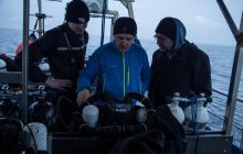 Zdjęcia z Nurkowania na Zatoce - Kanonierka, Trałowiec