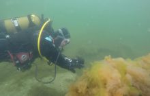 Wraki Kujawiak i Delfin 24 IV