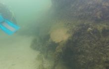 Wraki Kujawiak i Delfin 24 IV