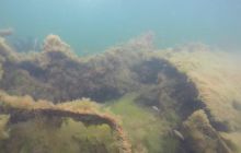 Wraki Kujawiak i Delfin 24 IV