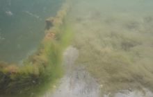 Wraki Kujawiak i Delfin 24 IV