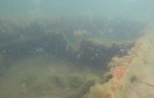 Wraki Kujawiak i Delfin 24 IV