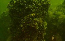 Nurkowanie wrakowe BN Kuter Jastarnia i Ślązak