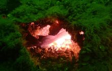 Nurkowanie wrakowe BN Kuter Jastarnia i Ślązak