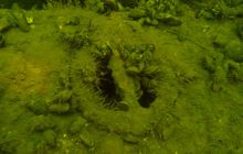 Nurkowanie wrakowe BN Kuter Jastarnia i Ślązak