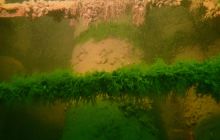 Nurkowanie wrakowe BN Kuter Jastarnia i Ślązak