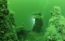 Nurkowanie wrakowe Ślązak / Kuter4