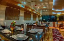 Safari nurkowe St Johns