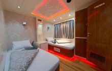 Safari nurkowe St Johns