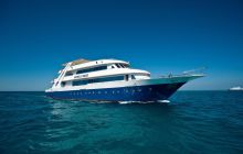 Safari nurkowe St Johns