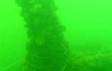 Nurkowanie wrakowe Delfin/Kuter1