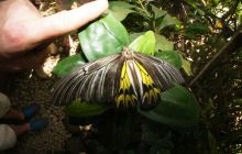 Zdjęcia z wyjazdu na Filipiny