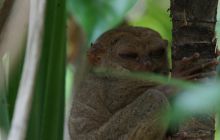 Zdjęcia z wyjazdu na Filipiny