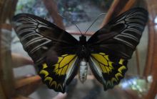 Zdjęcia z wyjazdu na Filipiny