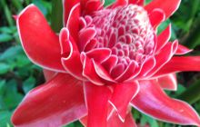 Zdjęcia z wyjazdu na Filipiny