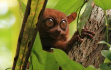 Zdjęcia z wyjazdu na Filipiny