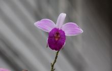 Zdjęcia z wyjazdu na Filipiny