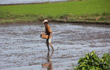 Zdjęcia z wyjazdu na Filipiny