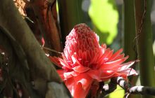 Zdjęcia z wyjazdu na Filipiny