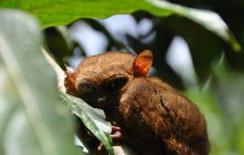 Zdjęcia z wyjazdu na Filipiny