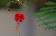 Zdjęcia z wyjazdu na Filipiny