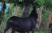 Zdjęcia z wyjazdu na Filipiny