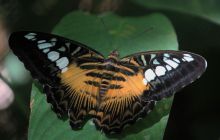 Zdjęcia z wyjazdu na Filipiny