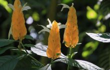 Zdjęcia z wyjazdu na Filipiny